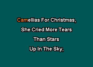 Camellias For Christmas,

She Cried More Tears
Than Stars
Up In The Sky,