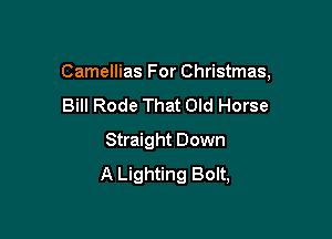 Camellias For Christmas,

Bill Rode That Old Horse
Straight Down
A Lighting Bolt,