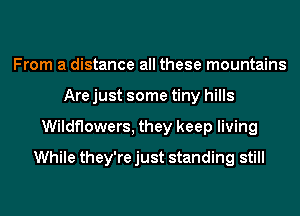 From a distance all these mountains
Are just some tiny hills
Wildflowers, they keep living
While they're just standing still