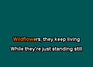 Wildflowers, they keep living

While they'rejust standing still