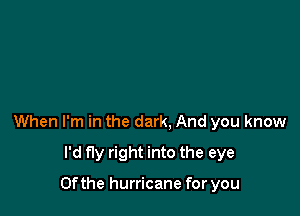 When I'm in the dark, And you know

I'd fly right into the eye

0f the hurricane for you