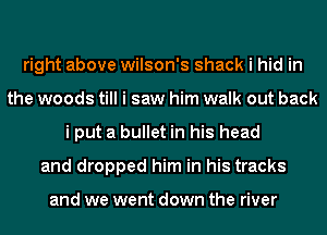 right above Wilson's shack i hid in
the woods till i saw him walk out back
i put a bullet in his head
and dropped him in his tracks

and we went down the river