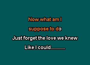 Now what am I

suppose to do

Just forget the love we knew
Like I could ............