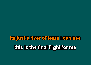 its just a river oftears i can see

this is the final flight for me