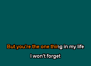 Butyou're the one thing in my life

I won't forget