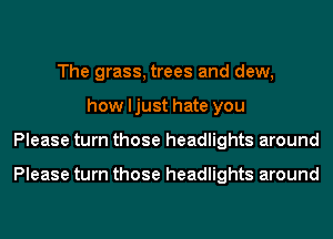 The grass, trees and dew,
how ljust hate you
Please turn those headlights around

Please turn those headlights around