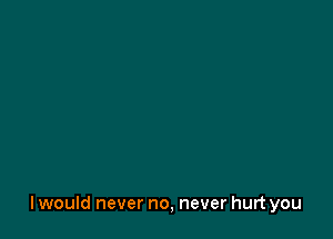I would never no, never hurt you
