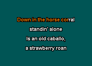 Down in the horse corral
standin' alone

Is an old caballo,

a strawberry roan
