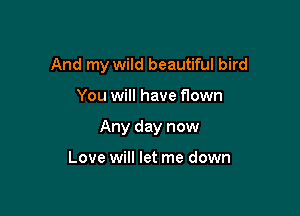 And my wild beautiful bird

You will have flown
Any day now

Love will let me down
