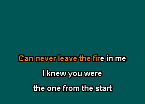 Can never leave the fire in me

I knew you were

the one from the start