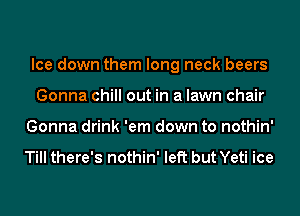 Ice down them long neck beers
Gonna chill out in a lawn chair
Gonna drink 'em down to nothin'

Till there's nothin' left but Yeti ice