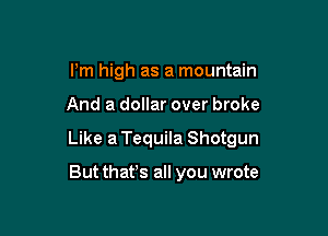 Pm high as a mountain

And a dollar over broke

Like a Tequila Shotgun

But that's all you wrote