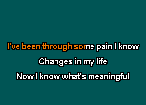 I've been through some pain I know

Changes in my life

Now I know what's meaningful