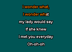 lwonder what,
lwonder what
my lady would say

If she knew

I met you everyday
Oh-oh-oh