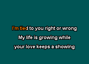 I'm tied to you right or wrong

My life is growing while

your love keeps a showing