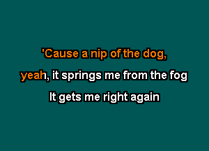 'Cause a nip ofthe dog,

yeah, it springs me from the fog

It gets me right again