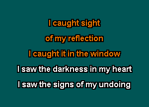 lcaught sight
of my reflection

I caught it in the window

lsaw the darkness in my heart

lsaw the signs of my undoing