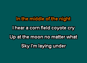 In the middle ofthe night
I hear a corn field coyote cry

Up at the moon no matterwhat

Sky I'm laying under