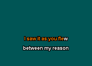 lsaw it as you flew

between my reason