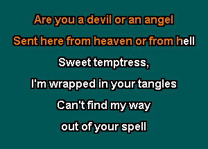 Are you a devil or an angel
Sent here from heaven or from hell
Sweet temptress,

I'm wrapped in your tangles
Can't find my way

out of your spell