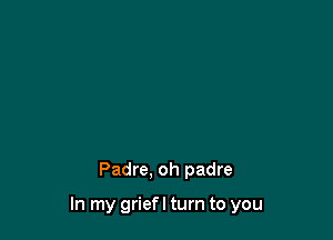 Padre, oh padre

In my griefl turn to you