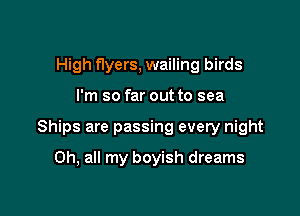 High flyers, wailing birds

I'm so far out to sea

Ships are passing every night

Oh, all my boyish dreams