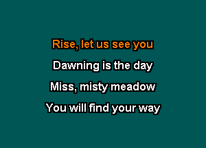 Rise, let us see you
Dawning is the day

Miss, misty meadow

You will fund your way