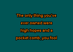 The only thing you've

ever owned were
high hopes and a

pocket comb, you fool