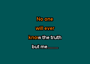 No one

will ever

know the truth

but me .........