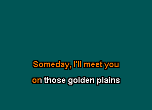 Someday, I'll meet you

on those golden plains