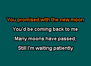 You promised with the new moon

You'd be coming back to me

Many moons have passed,

Still I'm waiting patiently