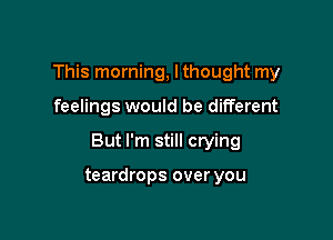 This morning, I thought my

feelings would be different

But I'm still crying

teardrops over you