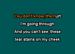 You don't know, the hurt

I'm going through

And you can't see, these

tear stains on my cheek