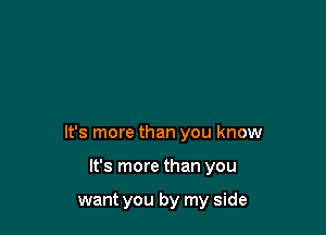 It's more than you know

It's more than you

want you by my side