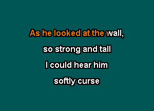 As he looked at the wall,

so strong and tall
I could hear him

softly curse