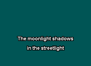 The moonlight shadows

in the streetlight