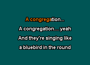 A congregation...

A congregation... yeah

And they're singing like

a bluebird in the round