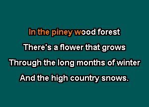 In the piney wood forest
There's a flower that grows
Through the long months ofwinter

And the high country snows.