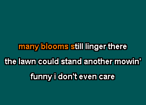 many blooms still linger there

the lawn could stand another mowin'

funnyi don't even care