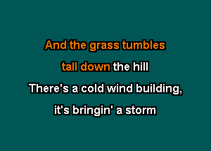 And the grass tumbles

tall down the hill

There's a cold wind building,

it's bringin' a storm