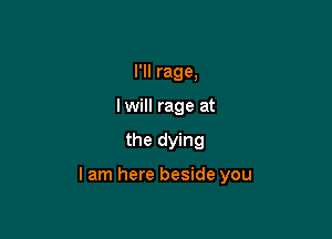 I'll rage,
lwill rage at

the dying

lam here beside you