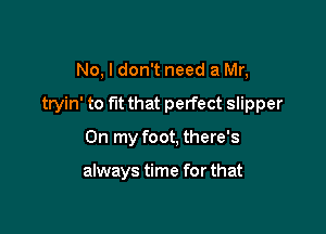 No, I don't need a Mr,

tryin' to fut that perfect slipper

On my foot, there's

always time for that