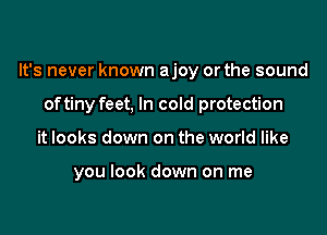 It's never known ajoy or the sound

oftiny feet, In cold protection
it looks down on the world like

you look down on me