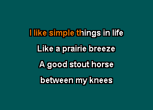 I like simple things in life

Like a prairie breeze
A good stout horse

between my knees