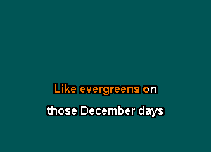 Like evergreens on

those December days