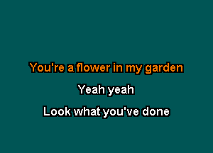 You're a flower in my garden

Yeah yeah

Look what you've done