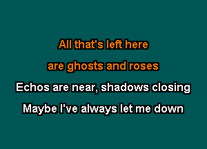 All that's left here

are ghosts and roses

Echos are near, shadows closing

Maybe I've always let me down