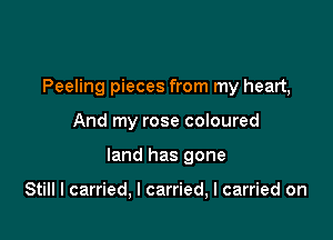 Peeling pieces from my heart,

And my rose coloured
land has gone

Still I carried, I carried, I carried on