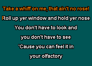 Take a whiff on me, that ain't no rose!
Roll up yer window and hold yer nose
You don't have to look and
you don't have to see
'Cause you can feel it in

your olfactory