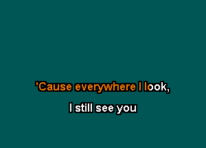 'Cause everywhere I look,

I still see you